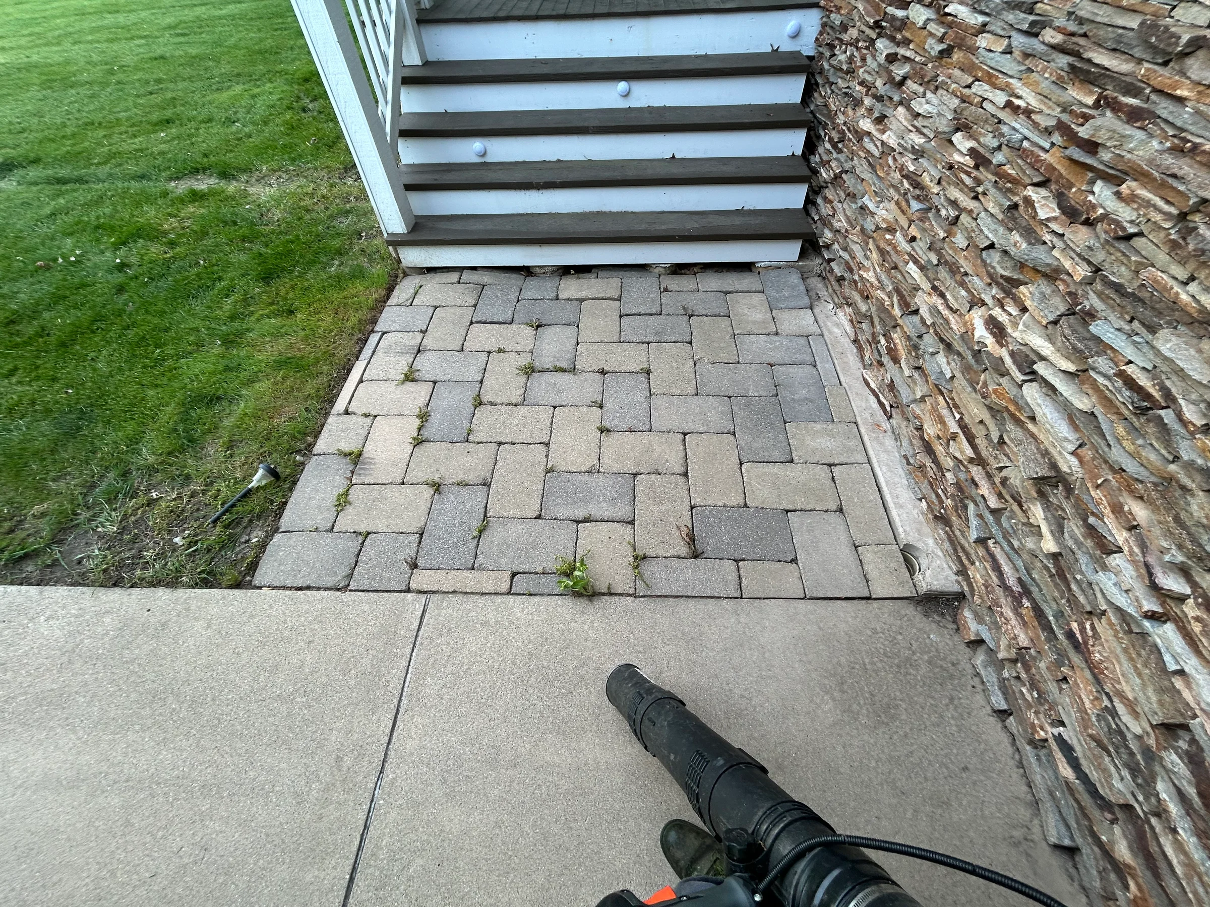 Entry pavers with growth in the joints before the paired property update