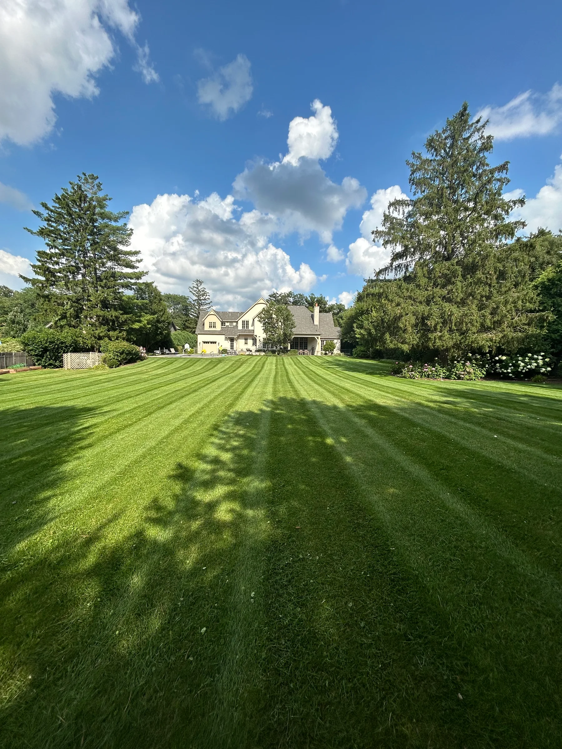 Striped green lawn bordered by trees and garden beds