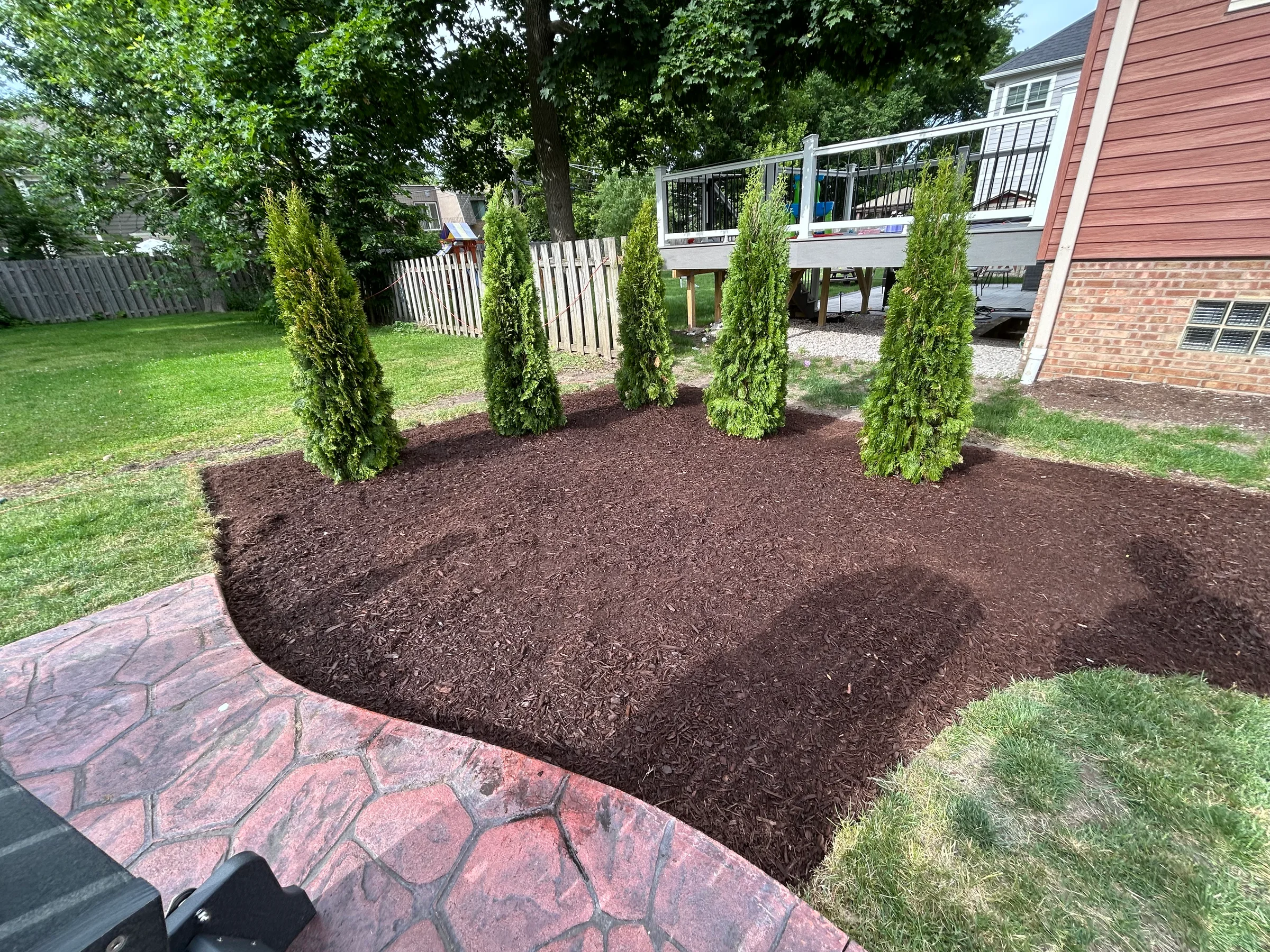 Mulched planting bed with upright evergreens beside a brick path